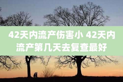 42天内流产伤害小 42天内流产第几天去复查最好