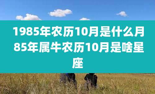 1985年农历10月是什么月 85年属牛农历10月是啥星座