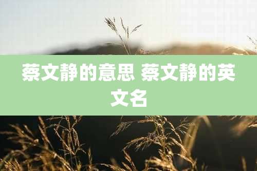 蔡文静的意思 蔡文静的英文名