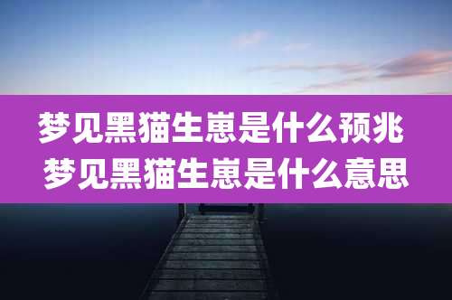 梦见黑猫生崽是什么预兆 梦见黑猫生崽是什么意思