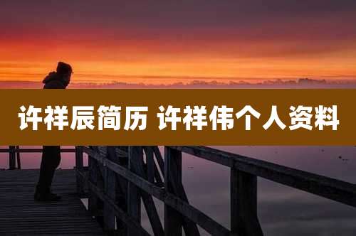 许祥辰简历 许祥伟个人资料