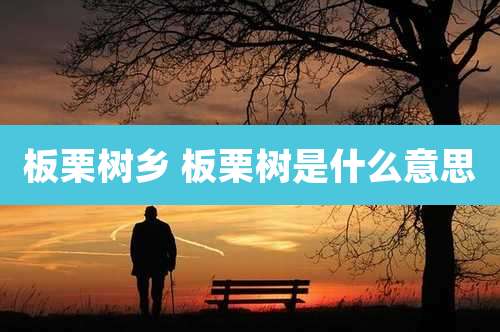 板栗树乡 板栗树是什么意思