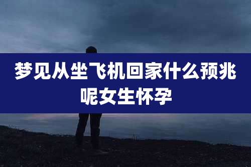 梦见从坐飞机回家什么预兆呢女生怀孕