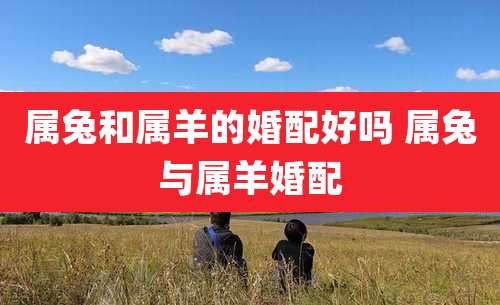 属兔和属羊的婚配好吗 属兔与属羊婚配