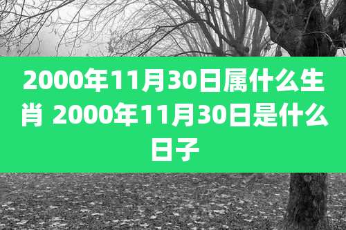 2000年11月30日属什么生肖 2000年11月30日是什么日子