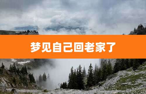 梦见自己回老家了