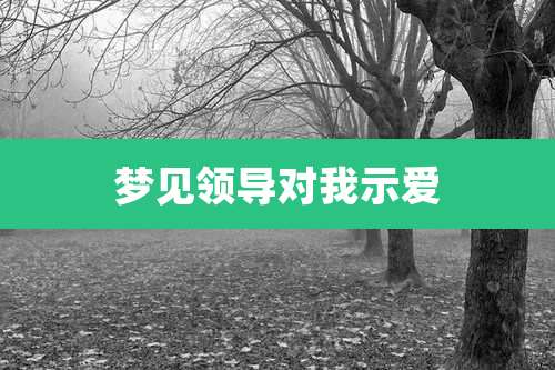 梦见领导对我示爱