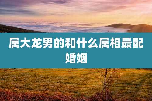 属大龙男的和什么属相最配婚姻