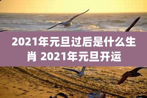 2021年元旦过后是什么生肖 2021年元旦开运