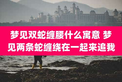 梦见双蛇缠腰什么寓意 梦见两条蛇缠绕在一起来追我