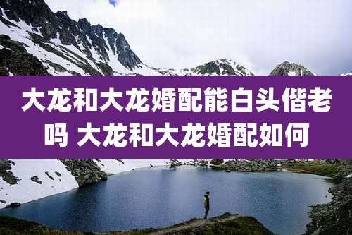 大龙和大龙婚配能白头偕老吗 大龙和大龙婚配如何