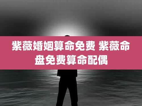 紫薇婚姻算命免费 紫薇命盘免费算命配偶