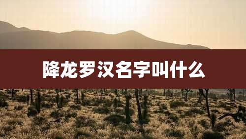 降龙罗汉名字叫什么