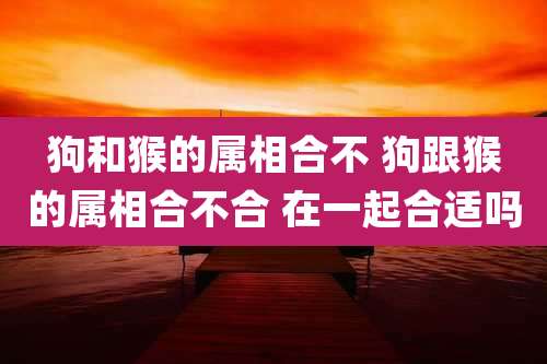 狗和猴的属相合不 狗跟猴的属相合不合 在一起合适吗