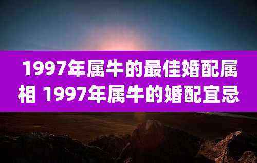 1997年属牛的最佳婚配属相 1997年属牛的婚配宜忌