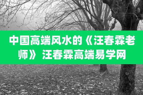 中国高端风水的《汪春霖老师》 汪春霖高端易学网