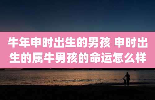牛年申时出生的男孩 申时出生的属牛男孩的命运怎么样