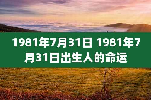 1981年7月31日 1981年7月31日出生人的命运