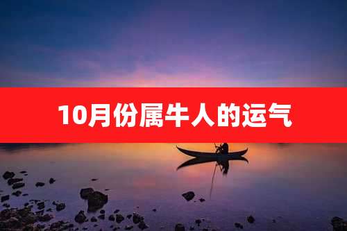 10月份属牛人的运气