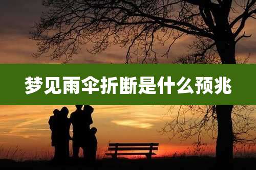 梦见雨伞折断是什么预兆