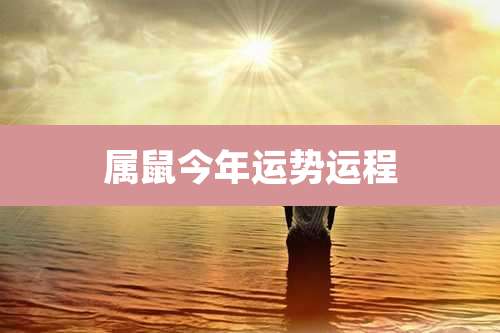 属鼠今年运势运程