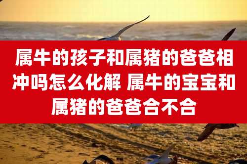 属牛的孩子和属猪的爸爸相冲吗怎么化解 属牛的宝宝和属猪的爸爸合不合