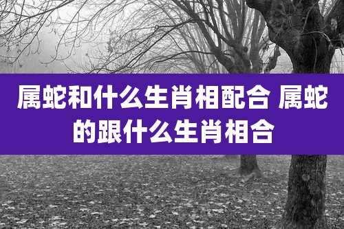 属蛇和什么生肖相配合 属蛇的跟什么生肖相合