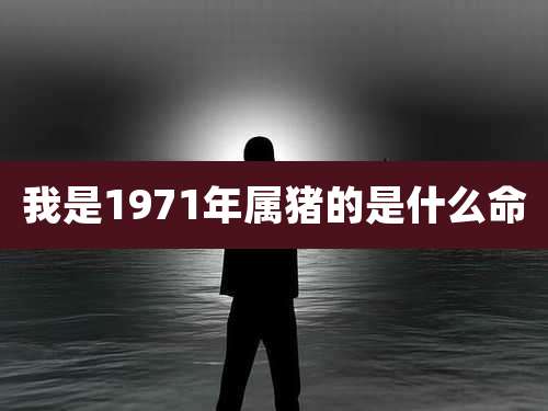 我是1971年属猪的是什么命