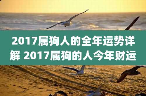 2017属狗人的全年运势详解 2017属狗的人今年财运