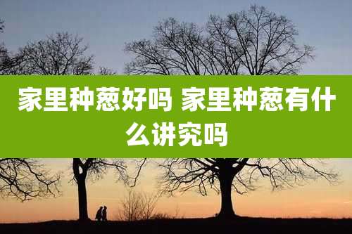 家里种葱好吗 家里种葱有什么讲究吗