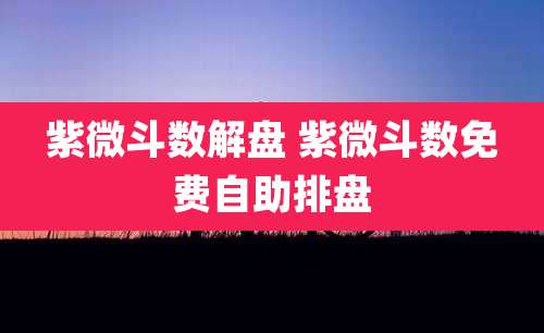 紫微斗数解盘 紫微斗数免费自助排盘