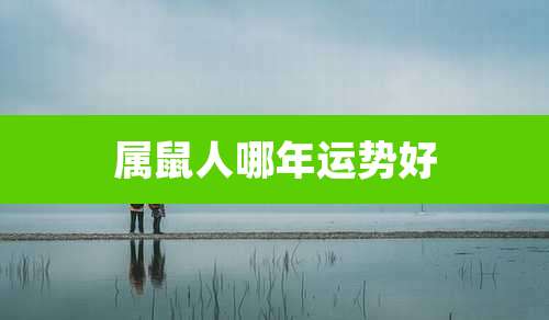 属鼠人哪年运势好