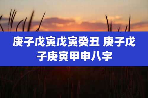 庚子戊寅戊寅癸丑 庚子戊子庚寅甲申八字