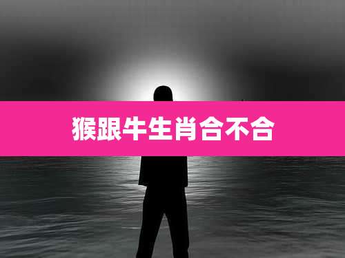 猴跟牛生肖合不合