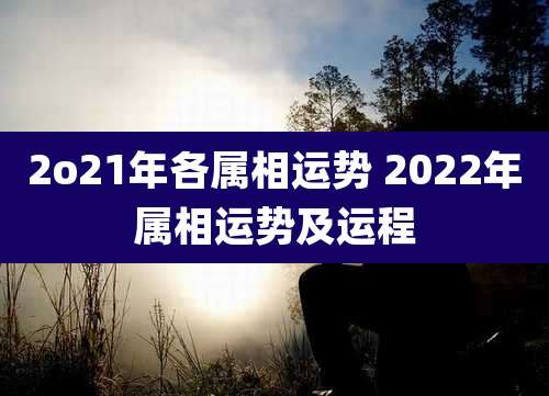 2o21年各属相运势 2022年属相运势及运程