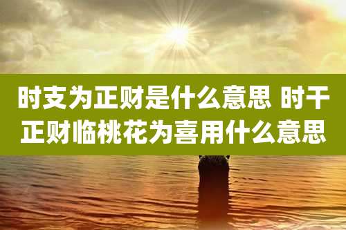 时支为正财是什么意思 时干正财临桃花为喜用什么意思