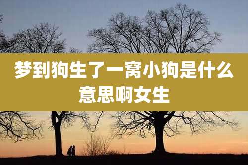 梦到狗生了一窝小狗是什么意思啊女生