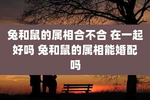 兔和鼠的属相合不合 在一起好吗 兔和鼠的属相能婚配吗