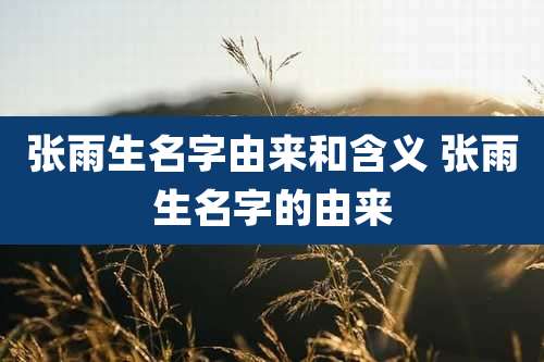 张雨生名字由来和含义 张雨生名字的由来