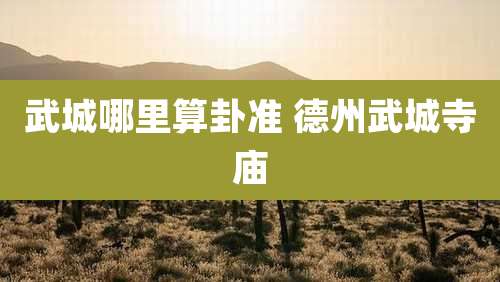 武城哪里算卦准 德州武城寺庙