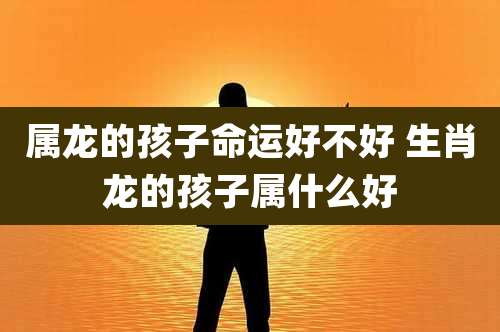 属龙的孩子命运好不好 生肖龙的孩子属什么好