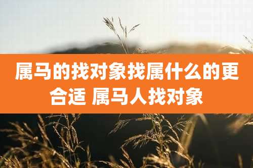属马的找对象找属什么的更合适 属马人找对象
