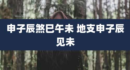 申子辰煞巳午未 地支申子辰见未