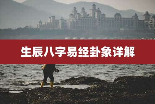 生辰八字易经卦象详解