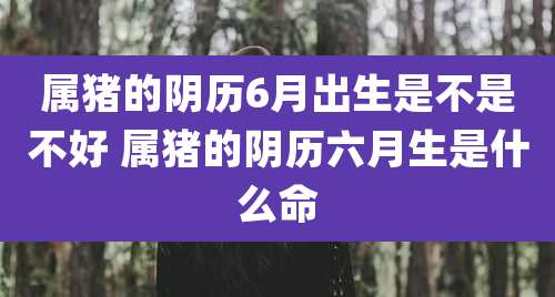 属猪的阴历6月出生是不是不好 属猪的阴历六月生是什么命