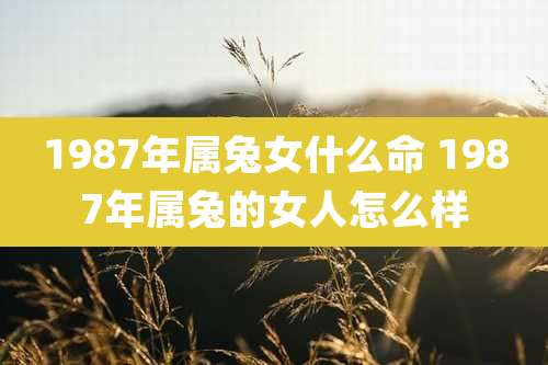1987年属兔女什么命 1987年属兔的女人怎么样