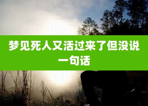 梦见死人又活过来了但没说一句话