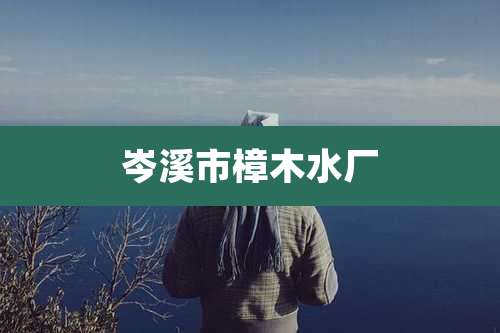 岑溪市樟木水厂