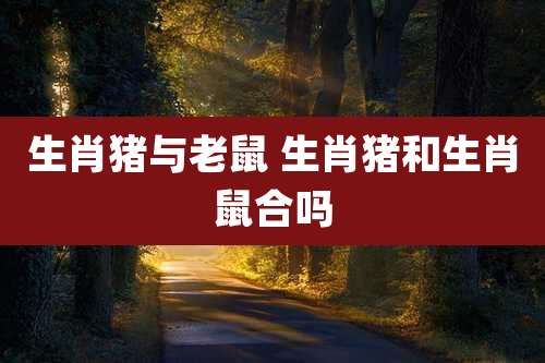 生肖猪与老鼠 生肖猪和生肖鼠合吗