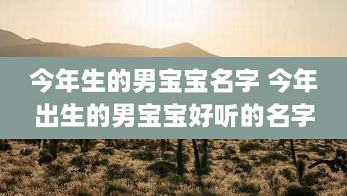 今年生的男宝宝名字 今年出生的男宝宝好听的名字